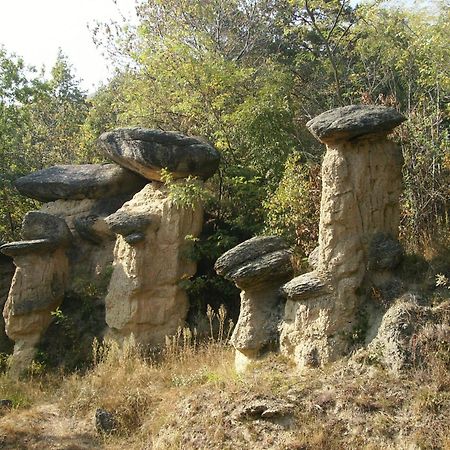 Il Barucin Panzió Villar San Costanzo Kültér fotó