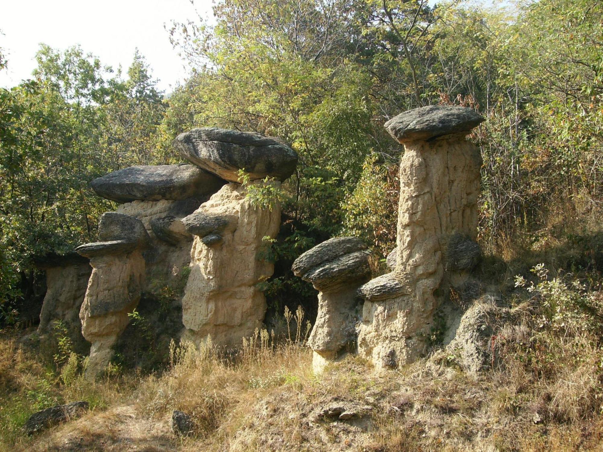 Il Barucin Panzió Villar San Costanzo Kültér fotó