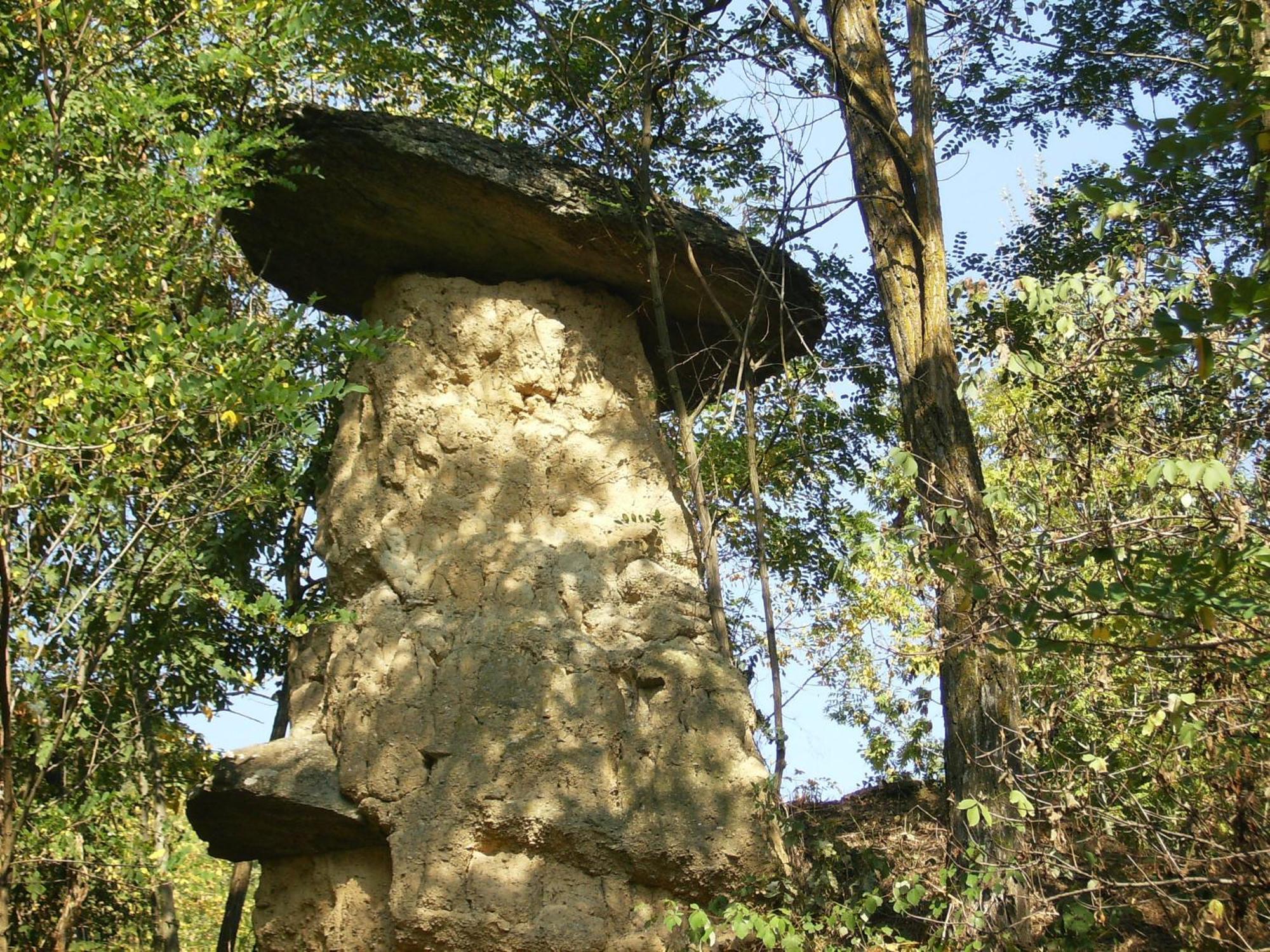 Il Barucin Panzió Villar San Costanzo Kültér fotó